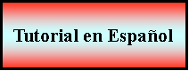 Proceso: Tutorial en Español